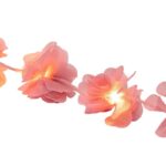 Γιρλάντα με Led - Flower Fairy Lights - Image 3