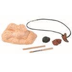 Ανασκαφή Κιτ - Δόντι Δεινοσαύρου T-Rex