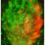 Προβολέας Αστεριών με Αλλαγή Χρώματος - Image 4