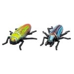 Expedition Natur Beetle Race – Σκαθάρι Τοίχου / Τζαμιού - Image 2